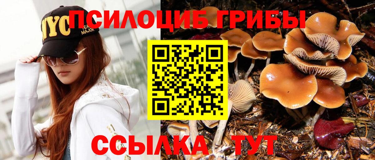 Галлюциногенные грибы Cubensis  Псилоцибиновые грибы Psilocybine cubensis  Приморско-Ахтарск  Вход с VPN 