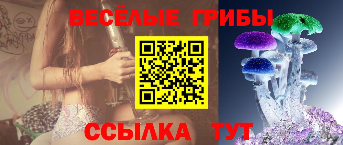Псилоцибиновые грибы Psilocybine cubensis Приморско-Ахтарск